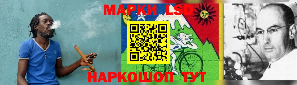 ГАШ Михайловск