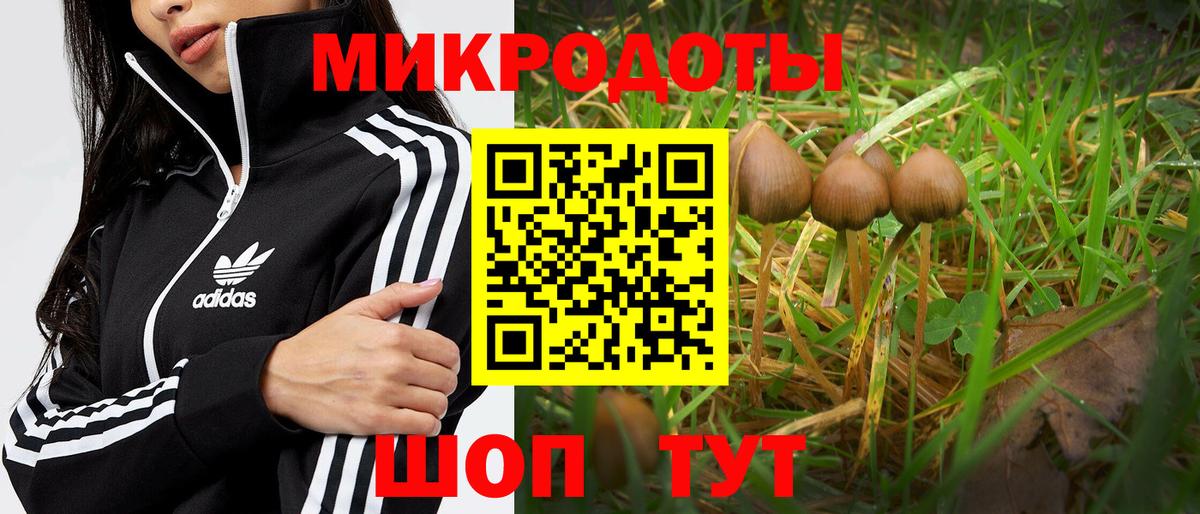 Михайловск  наркота  Вход с VPN  Псилоцибиновые грибы MAGIC MUSHROOMS 